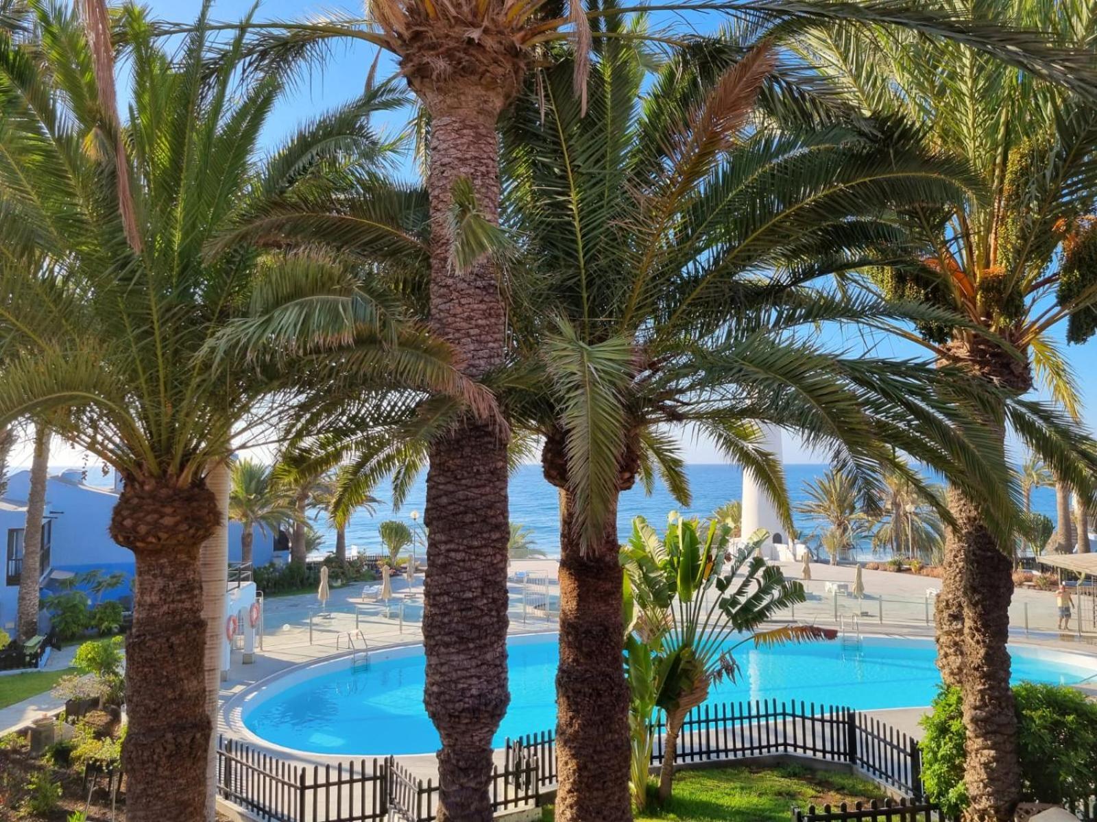 Top 2 Sun Club Bungalow Terraza Maspalomas  Buitenkant foto