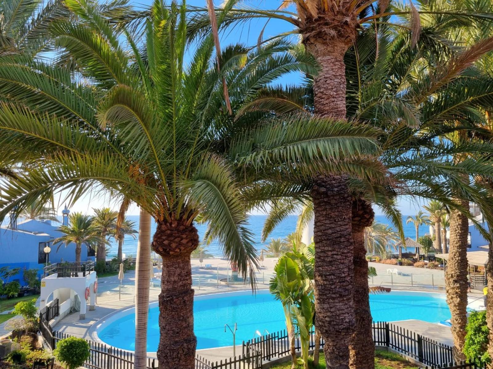 Top 2 Sun Club Bungalow Terraza Maspalomas  Buitenkant foto