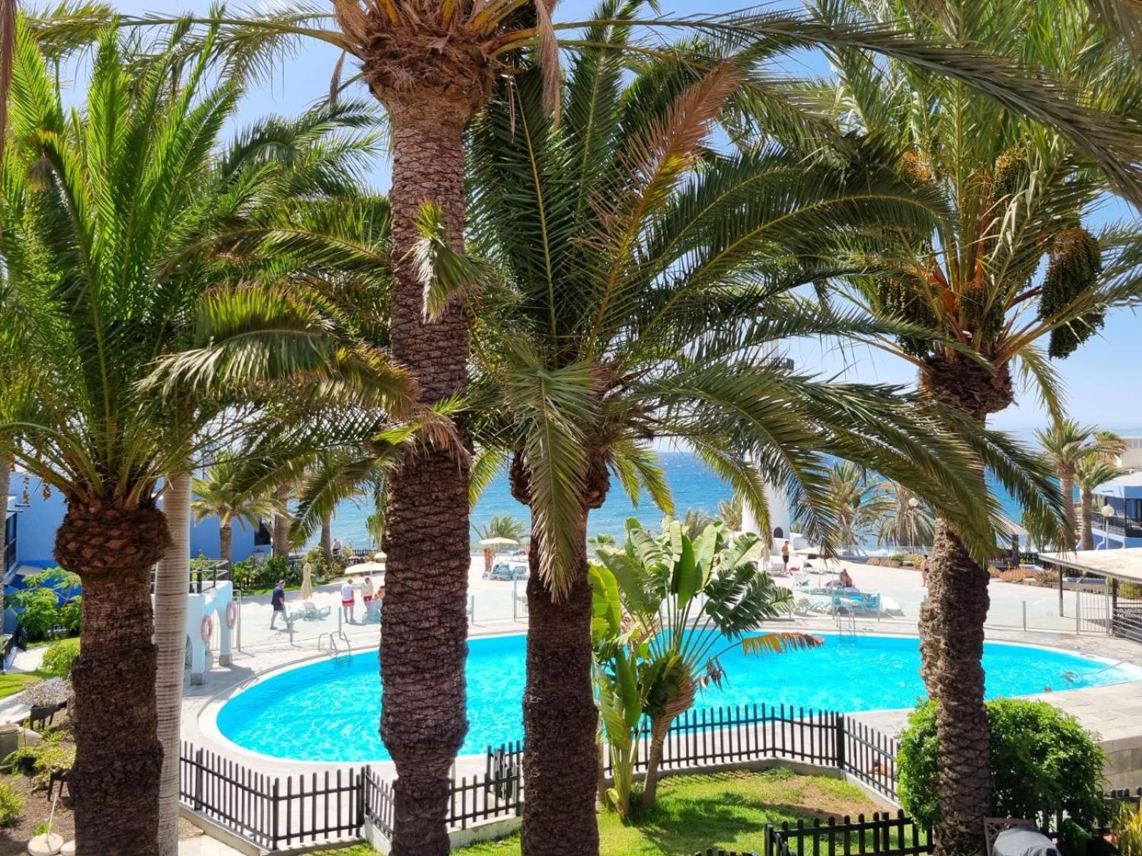 Top 2 Sun Club Bungalow Terraza Maspalomas  Buitenkant foto